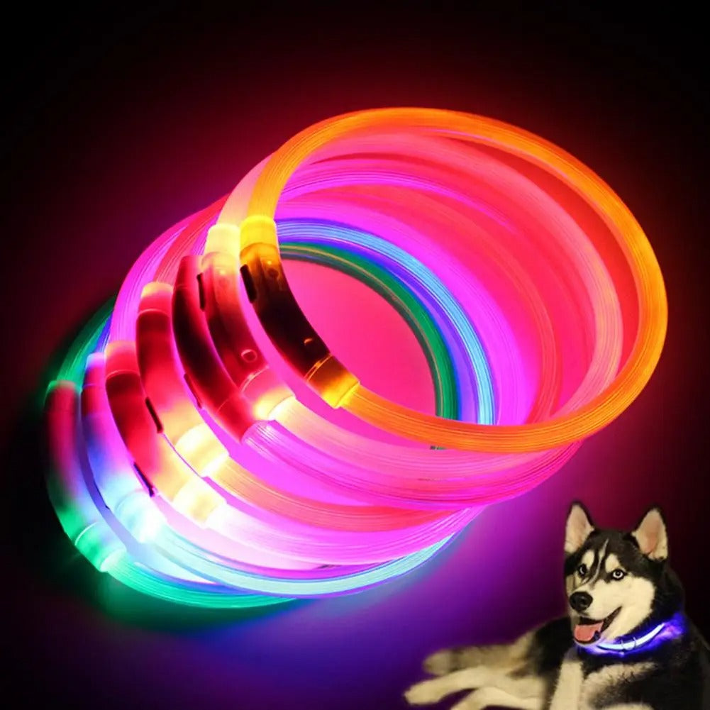Light Up Dog Collar - LED Dog Collar Rechargeable, Glowing Pet Collars for Small Medium Large Dogs, TPU Cuttable Lighted Puppy Collar, Safety Dog Lights for Night Walking (50cm -Easy Cut adjustable)