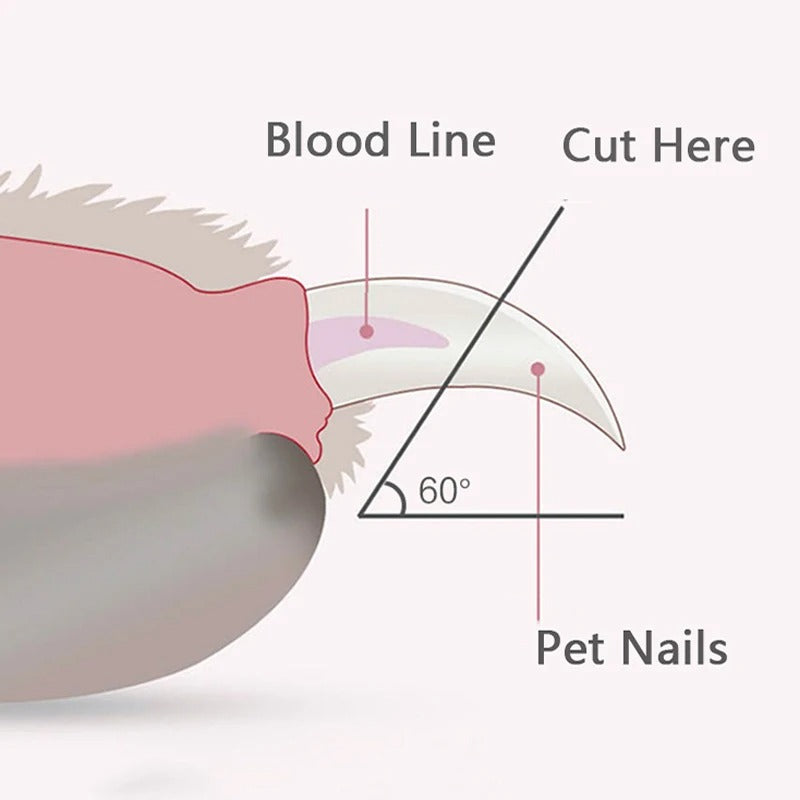 Professional Pet Nail Clipper Dog Nail Trimmer and Toenail Clippers Pet Nail Scissor with LED Light for Cats and Dogs