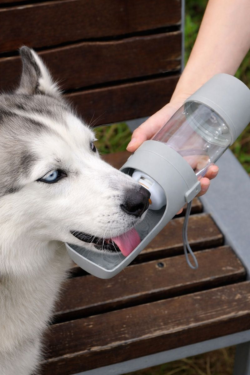 Portable Dog Cat Water and Food storage bottle